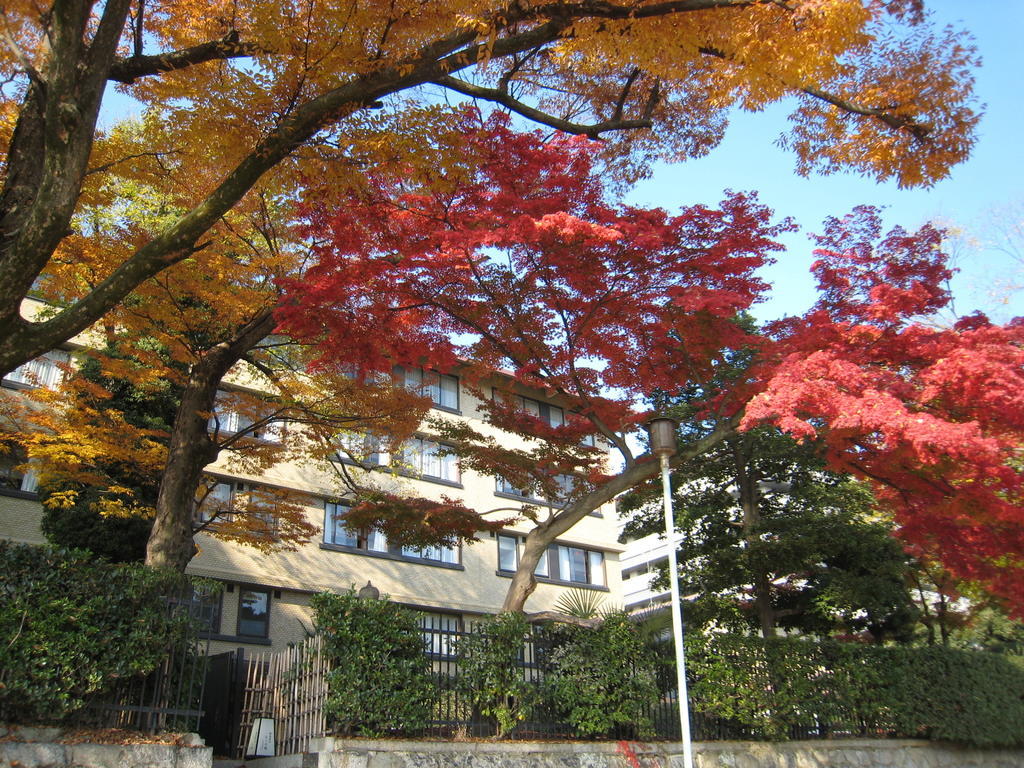 Отель Kkr Kyoto Kuniso Экстерьер фото